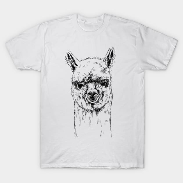 Alpaca Head Print T-Shirt by rachelsfinelines